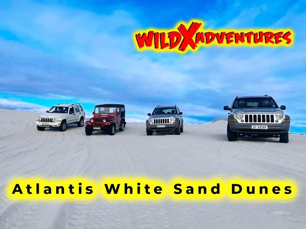 Activity Combo: Jeep 4x4 Tour, Quad Biking & Glam Sandboarding with WildX Adventures