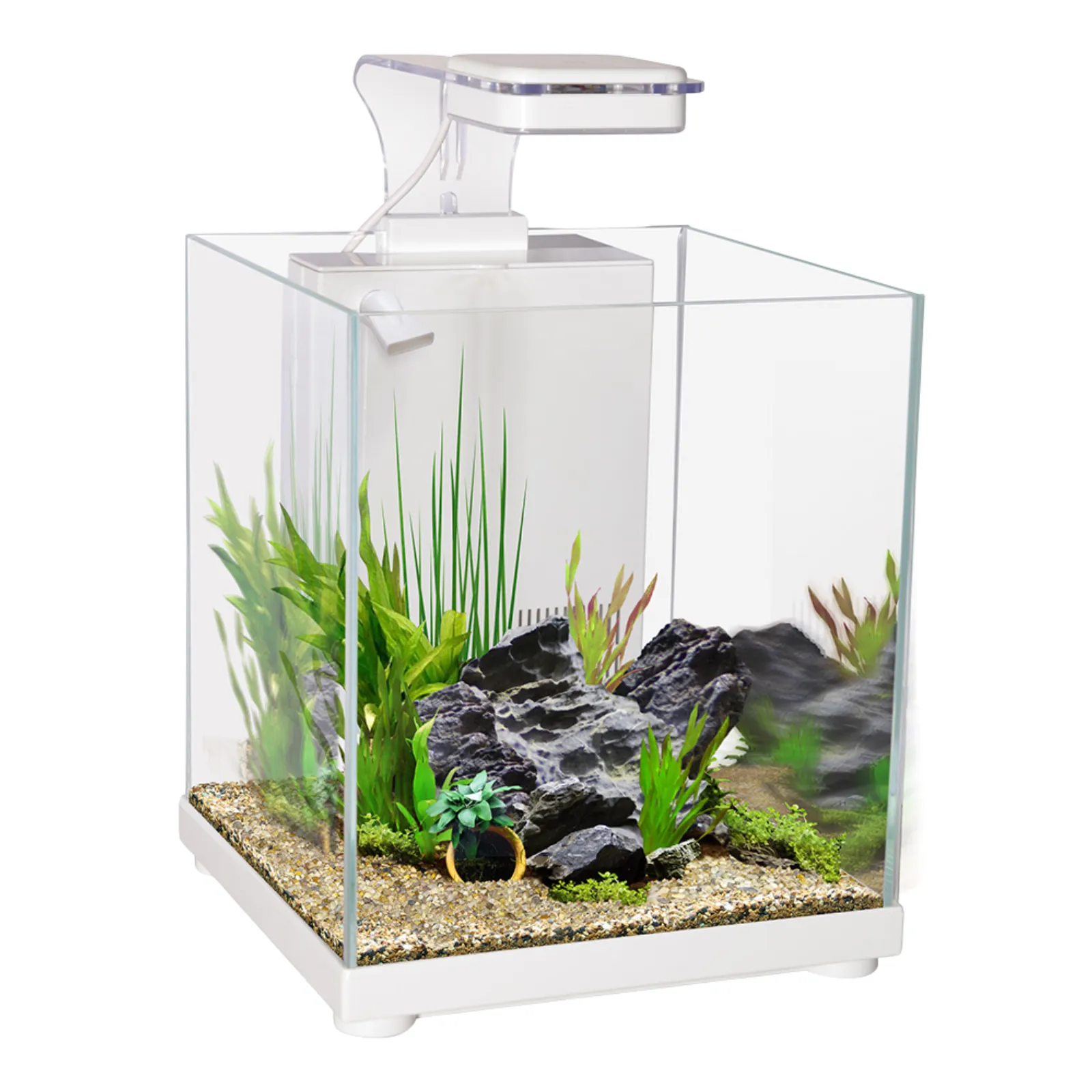 AquaOne Betta Sanctuary 10L Glass Tank - White