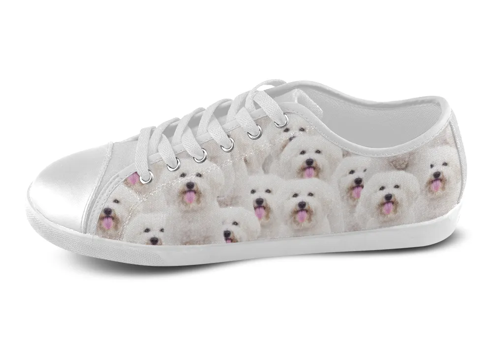 Bichon Frise Shoes