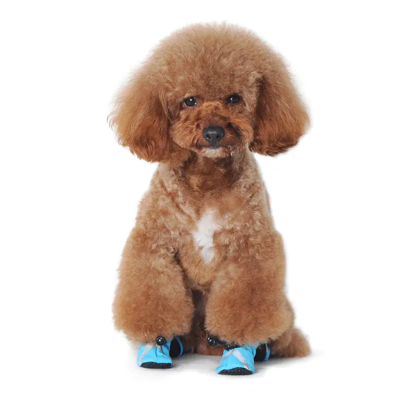 Dogo Pet Slip-ON Paws Dog Shoes