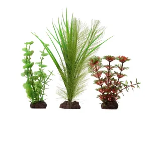 Fluval Aqualife Plant Scapes Red Limnophila 3 Plant Set - 10-20 cm (4-8 in)