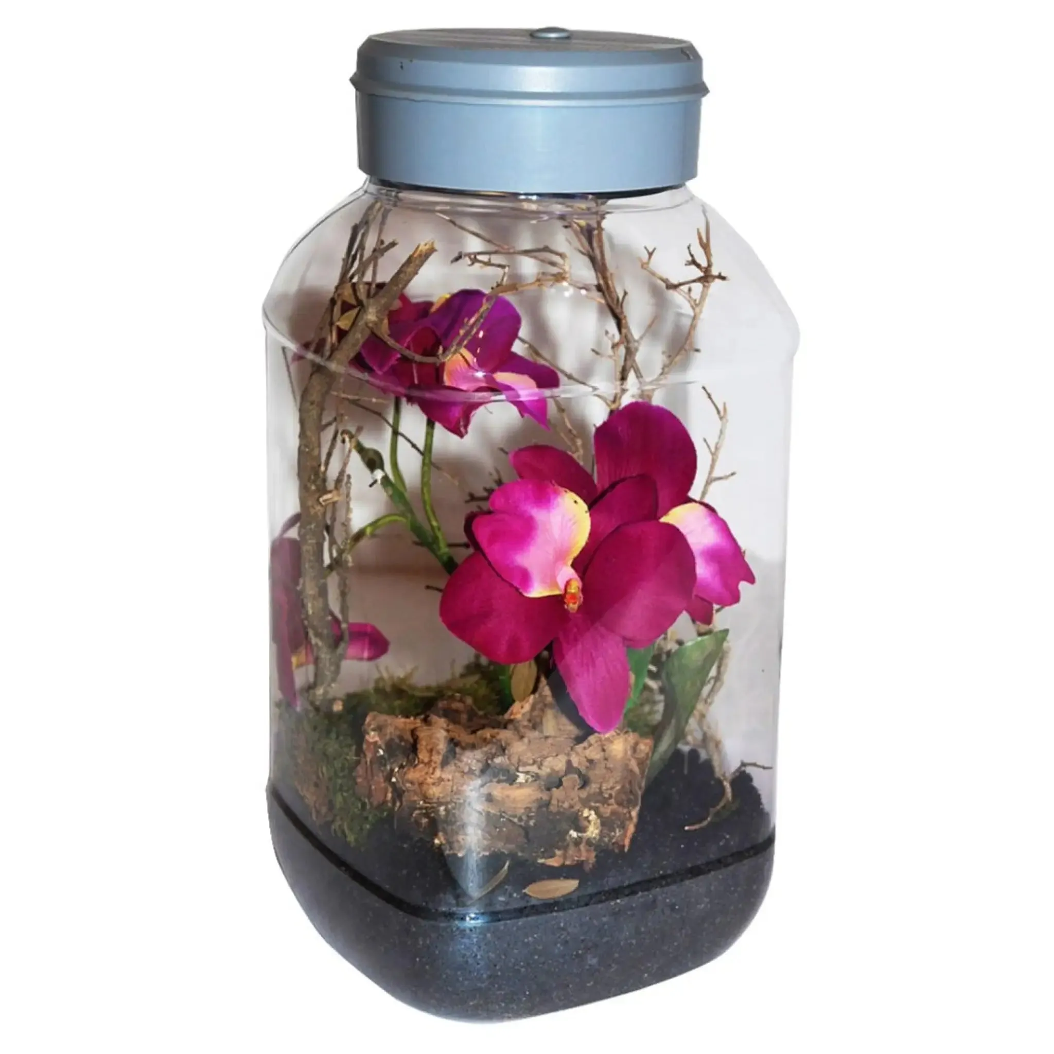 Lucky Reptile Insect-Tarrium 5 Litre