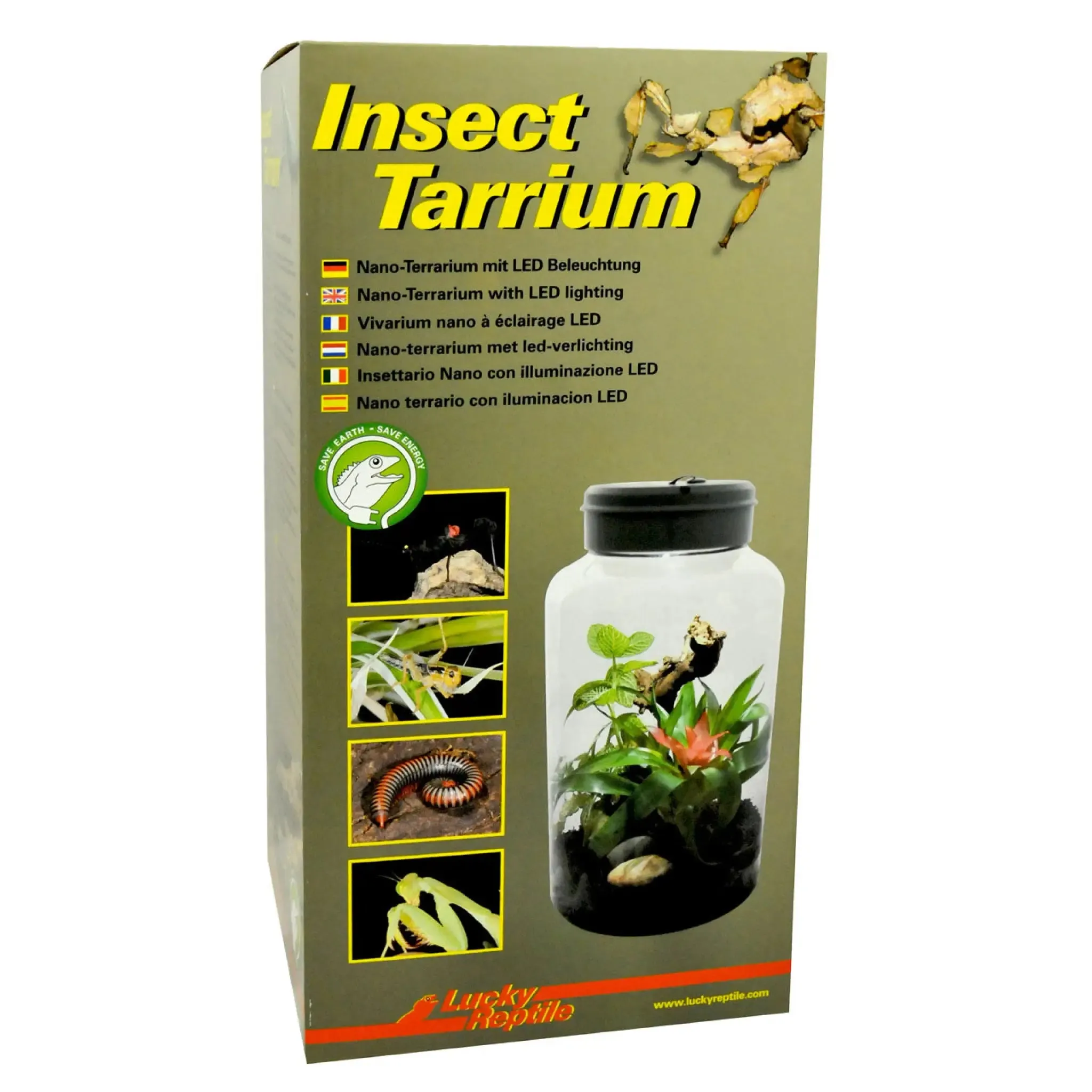 Lucky Reptile Insect-Tarrium 5 Litre