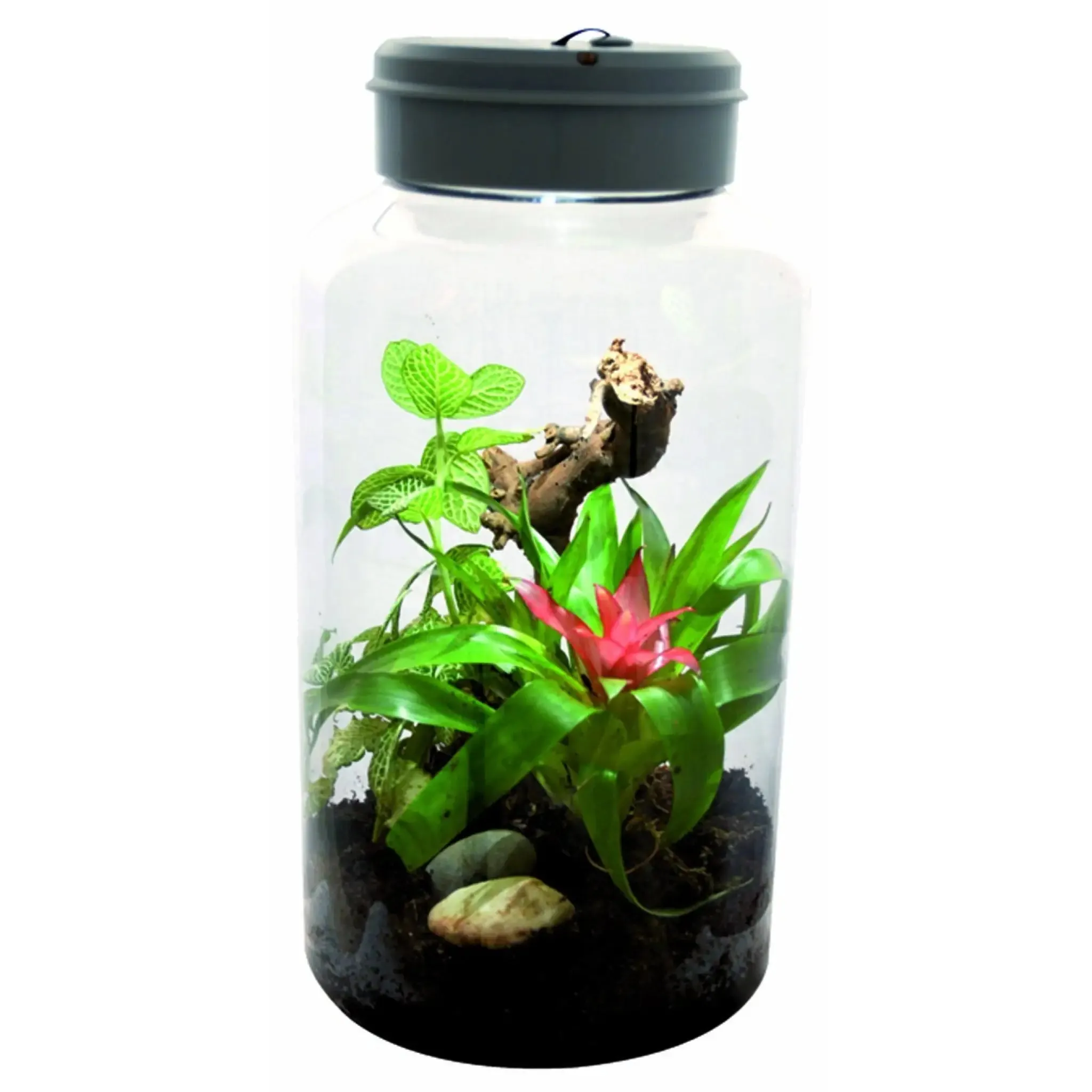 Lucky Reptile Insect-Tarrium 5 Litre