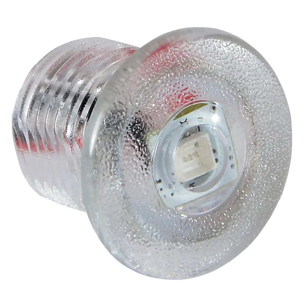 Lumitec Newt Courtesy/Accent Warm White LED Light Clear Finish 12v