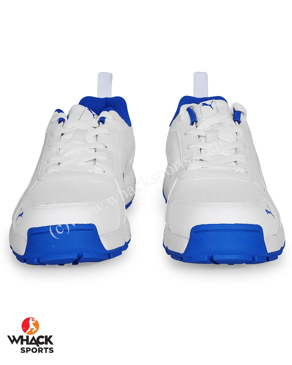 Puma Cricket Classicat - Rubber Cricket Shoes - Team Royal Puma Silver