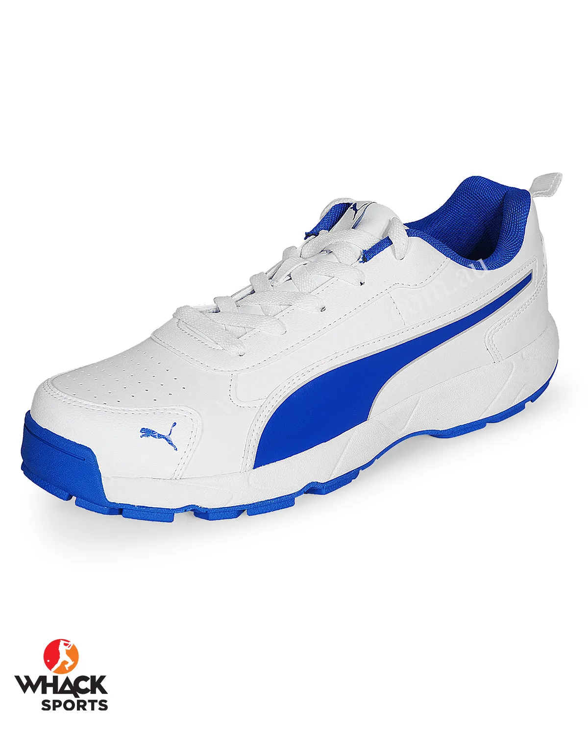 Puma Cricket Classicat - Rubber Cricket Shoes - Team Royal Puma Silver