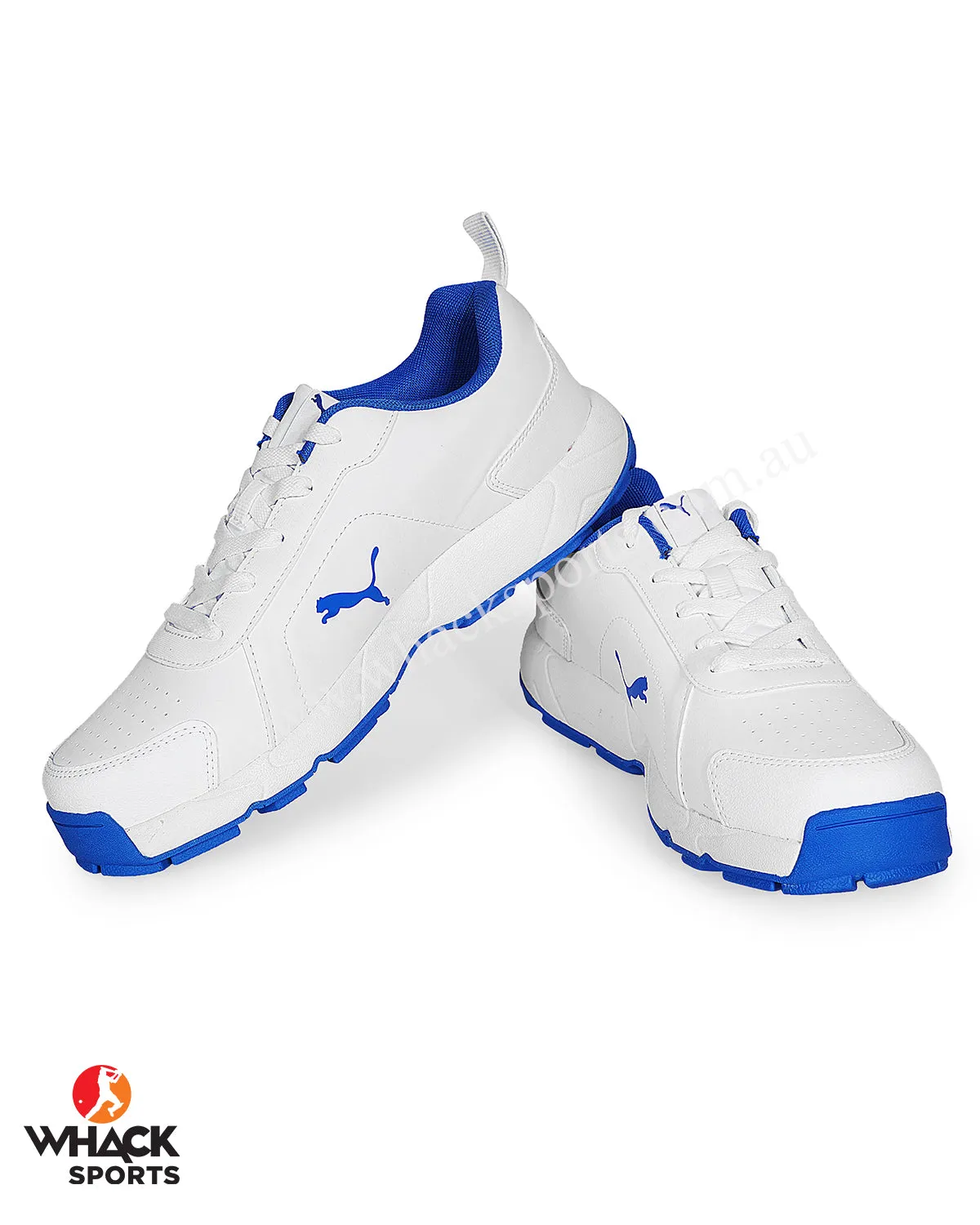 Puma Cricket Classicat - Rubber Cricket Shoes - Team Royal Puma Silver