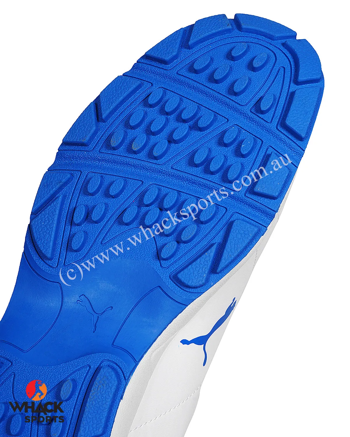 Puma Cricket Classicat - Rubber Cricket Shoes - Team Royal Puma Silver