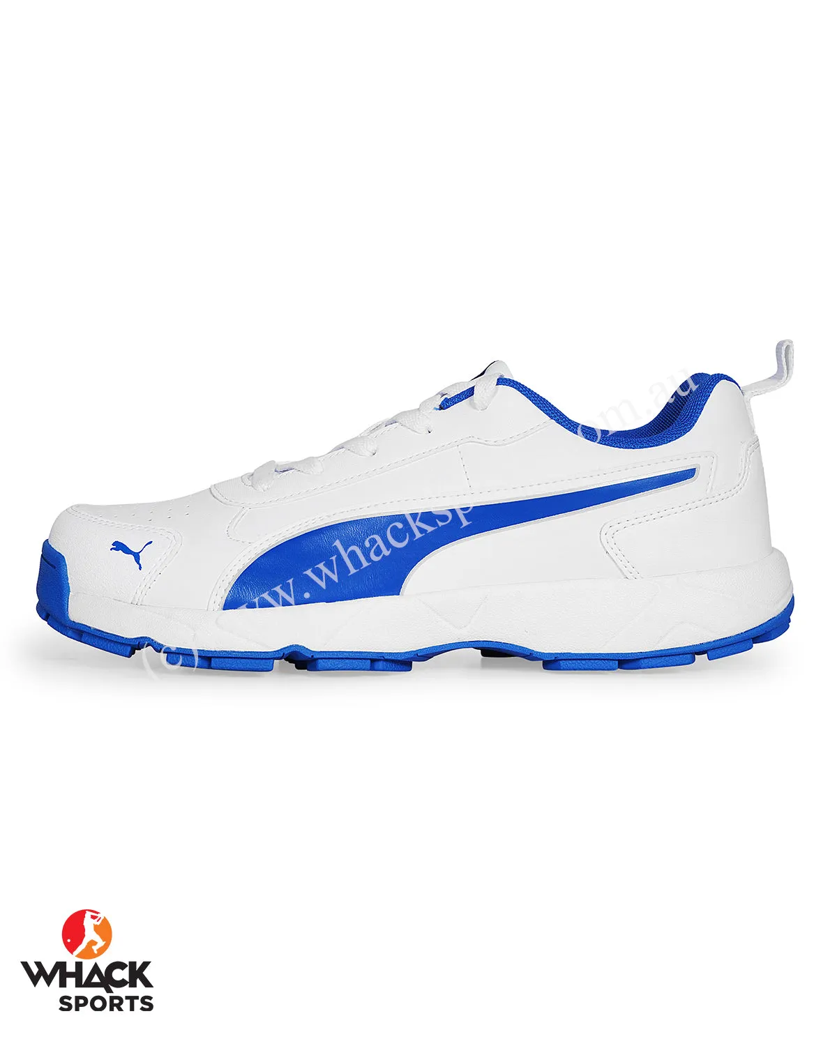 Puma Cricket Classicat - Rubber Cricket Shoes - Team Royal Puma Silver