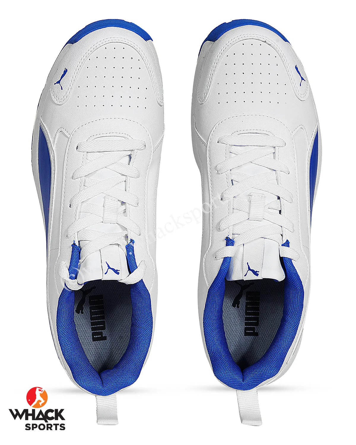 Puma Cricket Classicat - Rubber Cricket Shoes - Team Royal Puma Silver