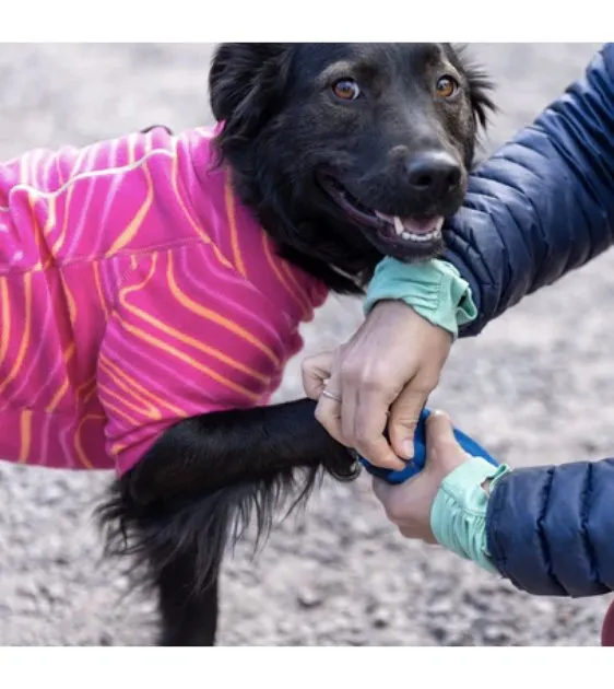 Ruffwear Hi & Light™ Trail Dog Shoes (River Rock Green)