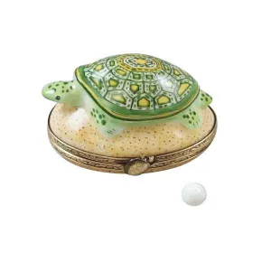 Turtle on Sand with Removable Egg