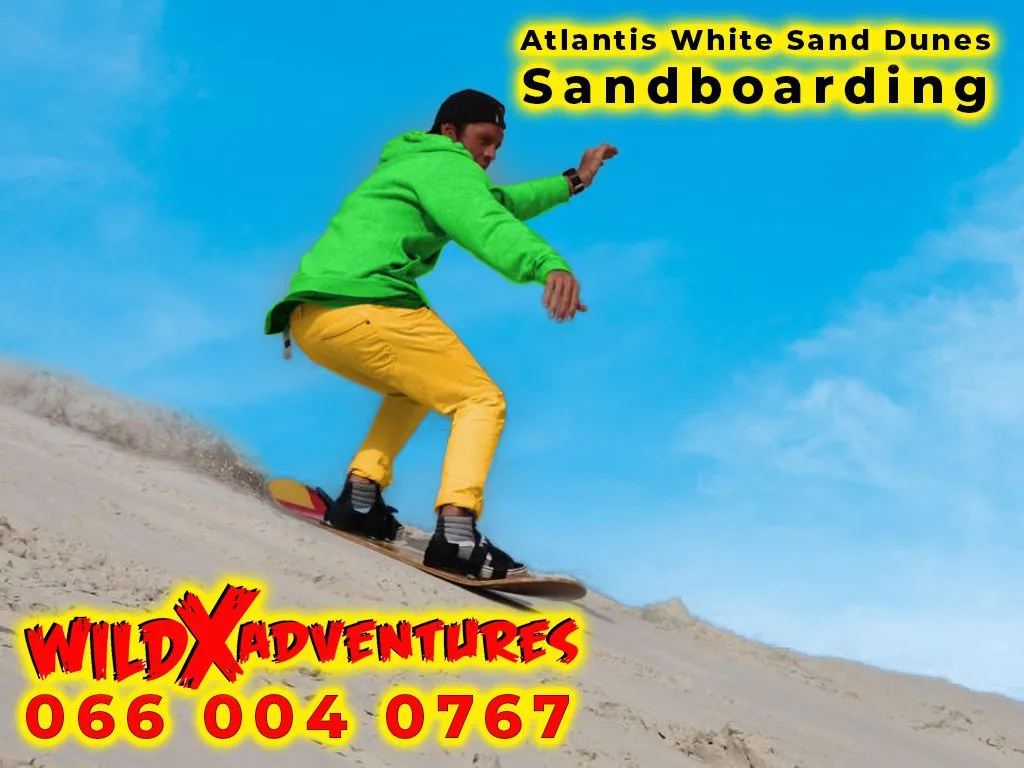 Ultimate Sandboarding Experience at WildX Adventures